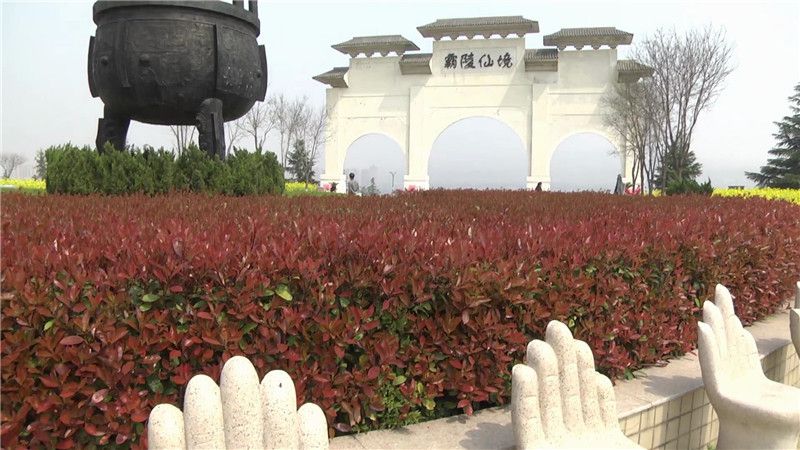 西安霸陵墓園新區圖片環境鑒賞