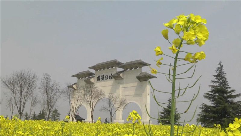 西安霸陵墓園新區圖片環境鑒賞