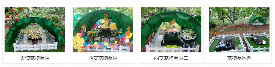 西安狗狗墓地多少錢