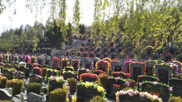 西安漢陵墓園溫馨提示:文明祭祀 嚴(yán)禁焚燒