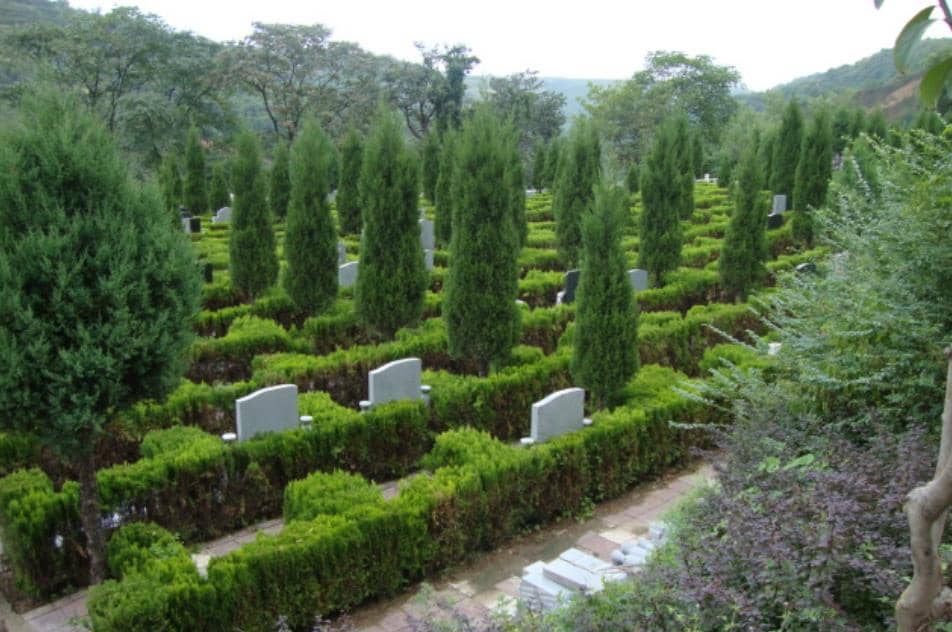 西安壽陽(yáng)山公墓陵園看墓隨拍