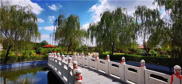 閻良漢皇樹葬骨灰公墓推廣生態(tài)樹葬的意義何在,對(duì)社會(huì)產(chǎn)生了哪些積極影響?