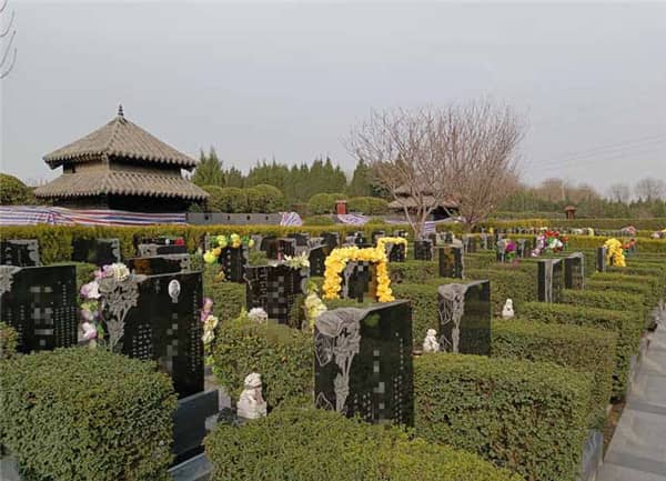 西安閻良漢皇樹葬墓園的環(huán)境和服務(wù)質(zhì)量如何,為何成為許多家庭選擇安息之地的理想之地?