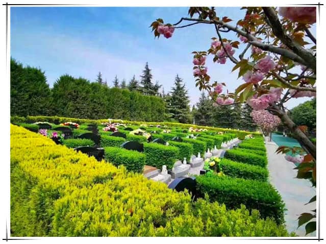 西安漢皇樹葬墓園樹葬服務(wù)深度解析, 生態(tài)殯葬典范體驗
