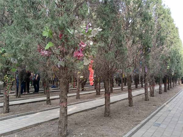西安漢皇樹葬墓園如何體現綠色生態樹葬的理念？