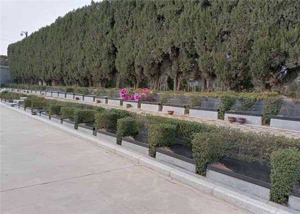 西安市樹葬墓園的費用大概是多少?