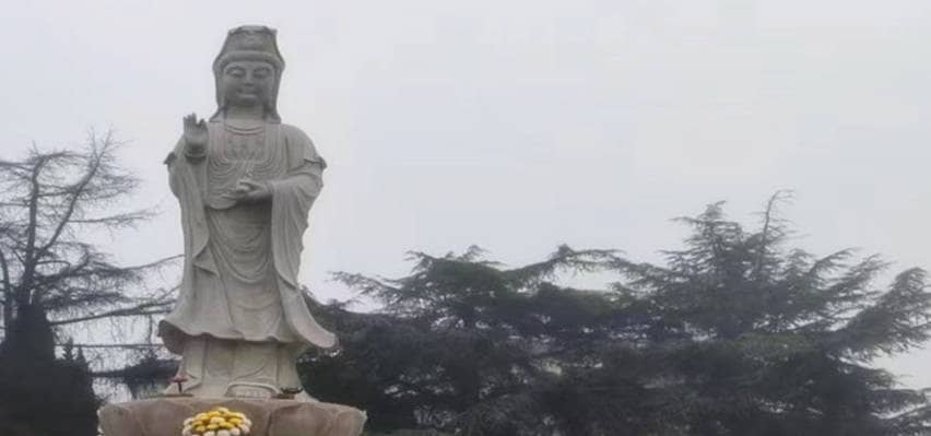 鳳棲山南區(qū)墓園,墓園價(jià)格優(yōu)惠快來(lái)選!