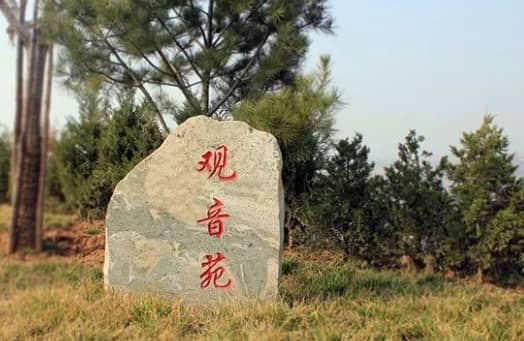 前往西安壽陽山公墓,乘客應該如何選擇合適的公交線路,以確保出行的便捷和高效?