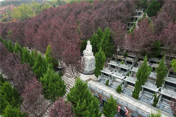 從金康路出發(fā),如何乘坐公交車前往西安壽陽山墓園?