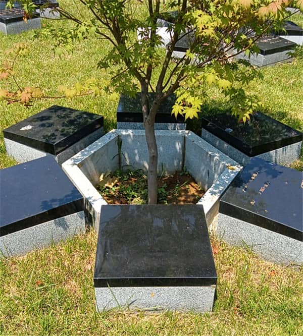 西安壽陽山墓園風(fēng)水