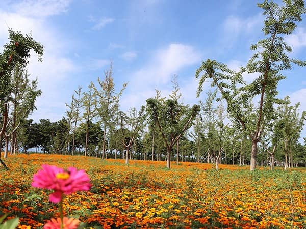 西安市壽陽山墓園聯(lián)系電話 西安壽陽山墓園下葬時(shí)間