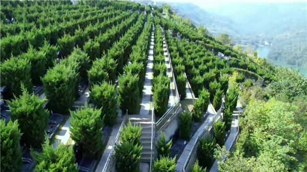 西安壽陽山墓園的花壇葬區有何特色，給訪客帶來了哪些視覺和心靈上的享受？