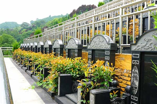 在壽陽山墓園,如果墓穴周圍的綠化出現了病蟲或枯死等問題,應該如何處理?