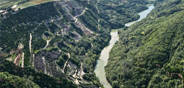 如果我選擇自駕前往西安壽陽山公墓,有哪些比較便捷的路線可以選擇,各自的特點是什么?