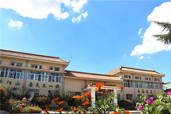 西安壽陽山墓園在清明節期間有哪些建議來避免園區擁堵?