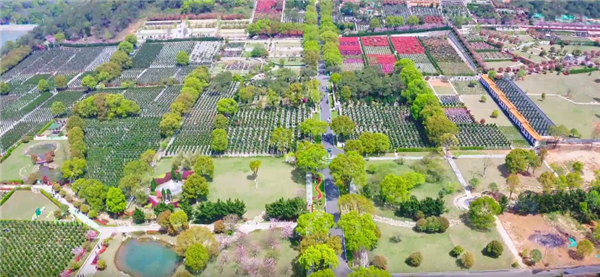 西安壽陽山墓園的花壇葬服務(wù)具體包括哪些內(nèi)容,如何確保花壇的長期整潔與美觀?