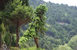 在重陽(yáng)佳節(jié)期間,西安壽陽(yáng)山墓園為訪客提供了哪些獨(dú)特的體驗(yàn)活動(dòng)?