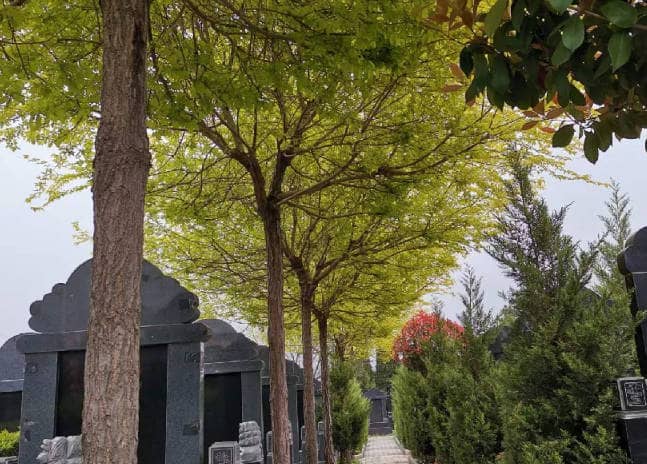 西安棗園山生態人文紀念園墓園地址電話