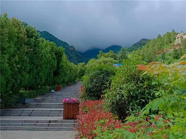 陜西省西安市九龍山墓園,陜西省西安市九龍山墓園的詳細介紹