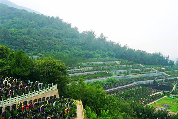 西安市戶縣九龍山墓園預約,安心便捷
