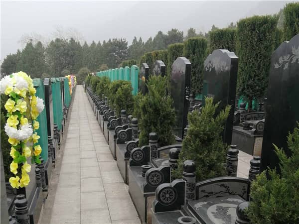 西安九龍山公墓的價格是否會根據市場情況有所變動?