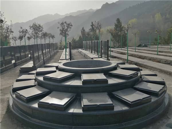 墳后栽楊樹(shù)的距離與風(fēng)水建議
