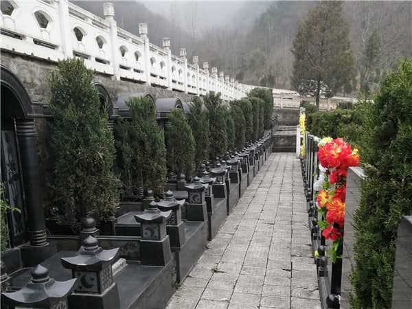 西安九龍山墓園的地理位置及歷史背景是怎樣的？