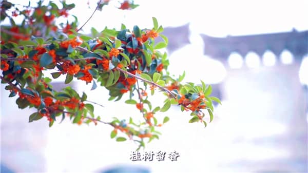 西安市霸陵墓園新區(qū),心靈自由的放逐地