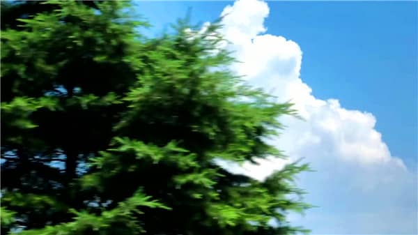 西安霸陵墓園在哪個(gè)區(qū)縣