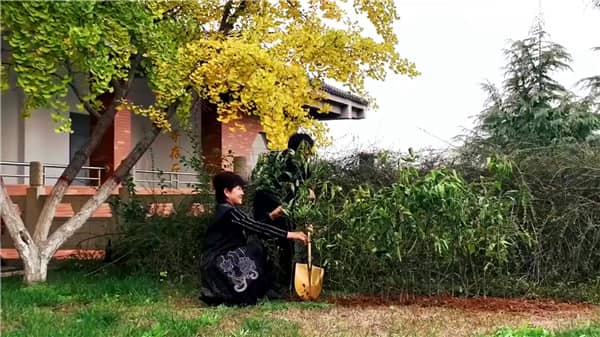 西安霸陵墓園新區怎么樣,選購攻略全面解讀!