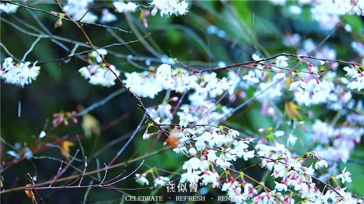 霸陵墓園新區有哪些特色?