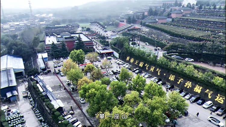 西安霸陵墓園位于哪里,其地理位置有何特殊之處?