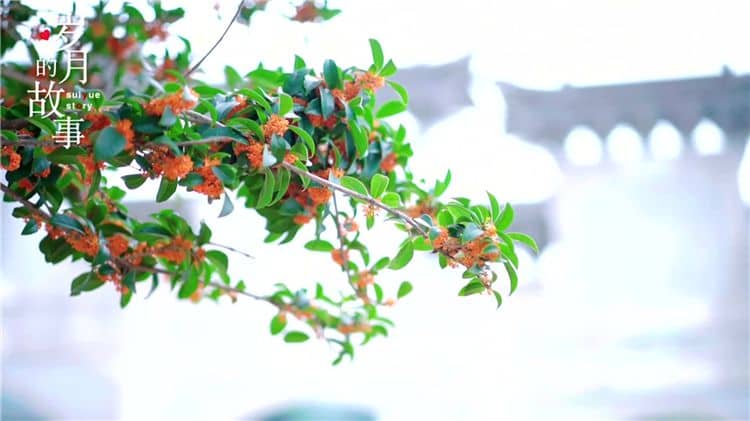 西安霸陵公墓的環(huán)境特點(diǎn)有哪些,為何被認(rèn)為是西安環(huán)境最好的墓地之一?