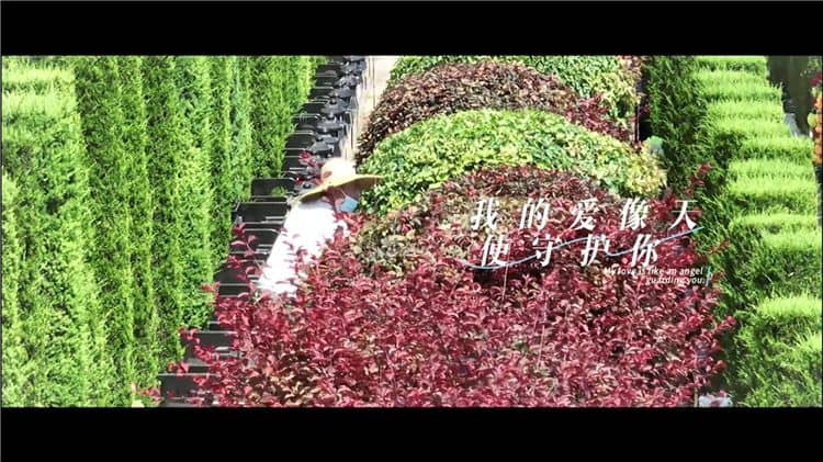 西安霸陵墓園新區，西安霸陵墓園新區的介紹與特色