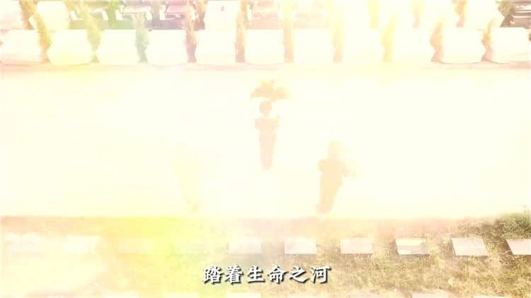 霸陵墓園新區有哪些安葬方式可供選擇?