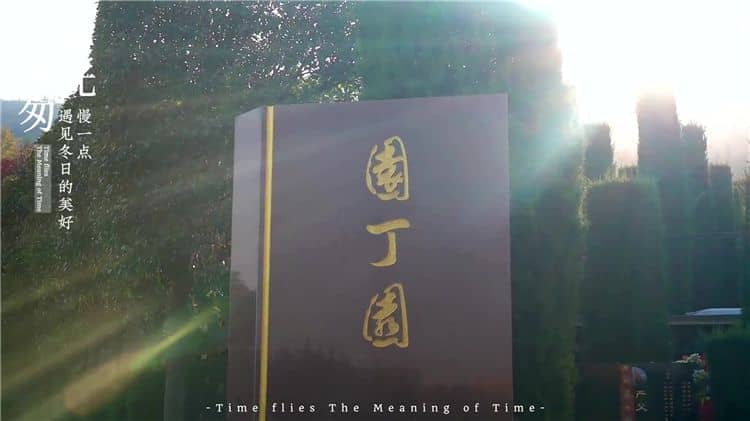 西安霸陵墓園分布圖詳解：地理位置與園區規劃
