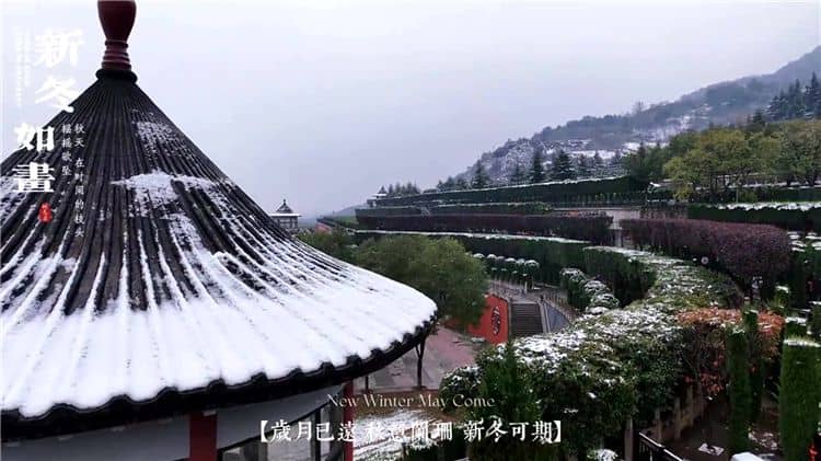 西安霸陵墓園新區碑型多樣,助您輕松挑選