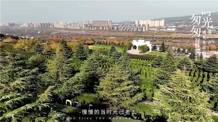 西安霸陵墓園樹葬,悼念逝去的親人