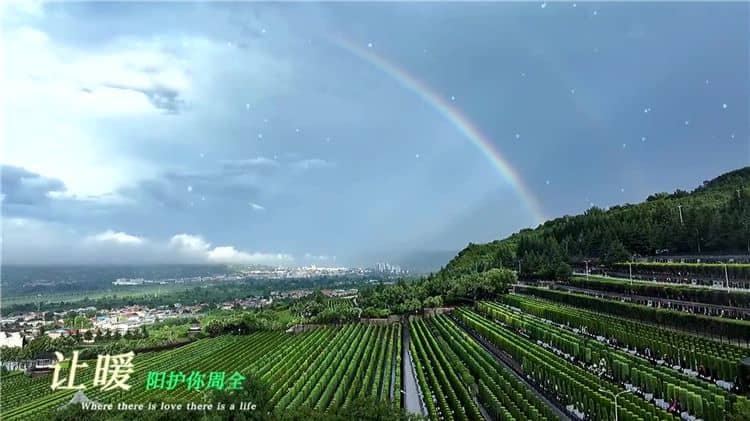 西安霸陵墓園新區(qū)的文化氛圍有何特點(diǎn)?