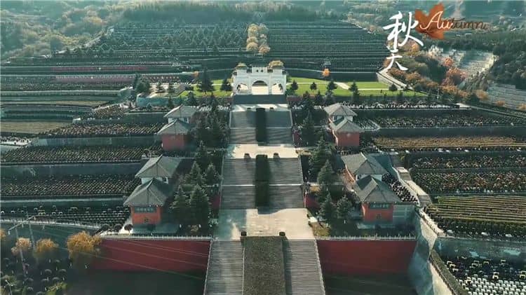 霸陵墓園都提供哪些生態葬方式?
