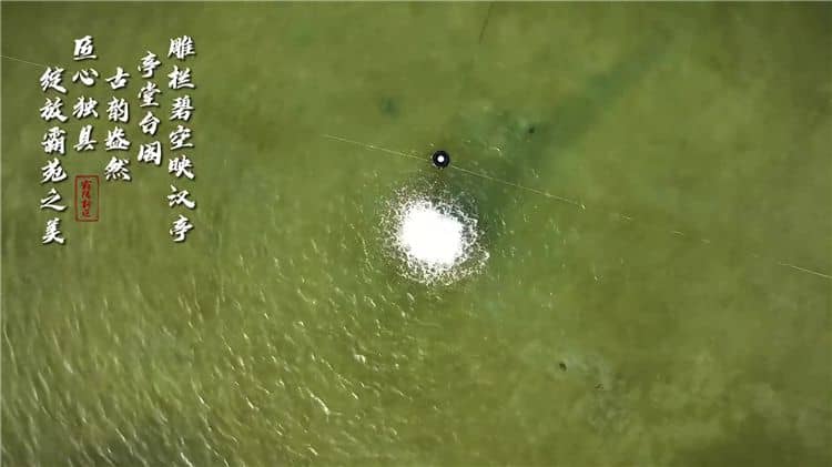 霸陵公墓壁葬、樹葬都多少錢