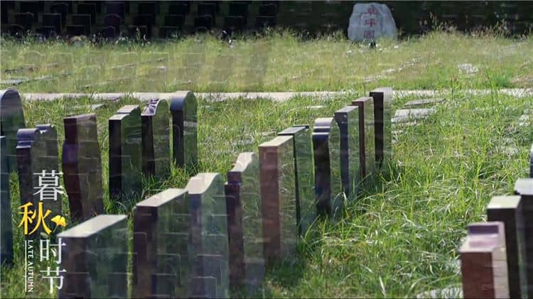 西安灞橋區(qū)霸陵陵園提供了哪些生態(tài)安葬方式?