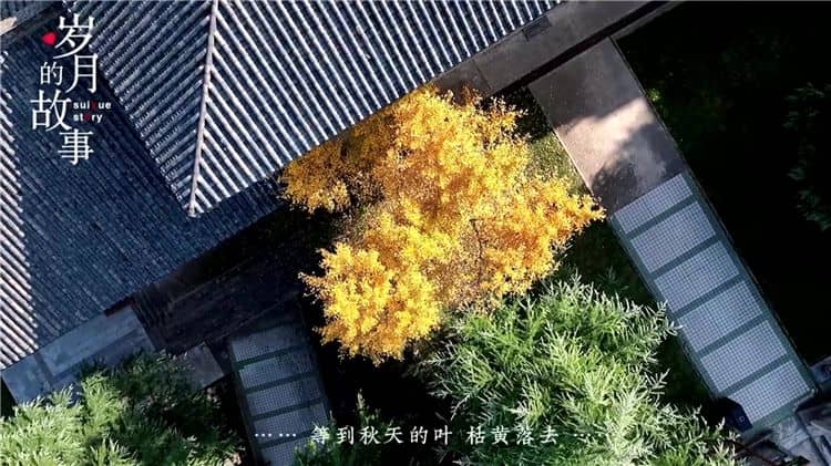 西安霸陵墓園的環(huán)境與服務(wù)？