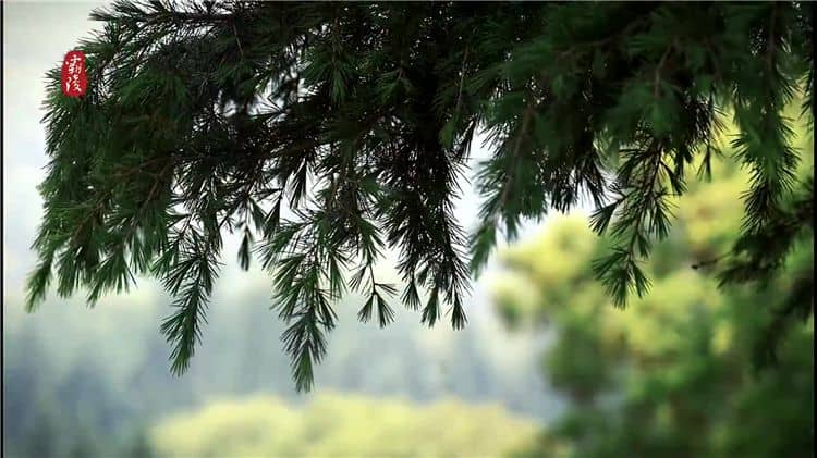 西安霸陵陵園提供了哪些安葬形式，并簡(jiǎn)述每種安葬形式的特點(diǎn)？