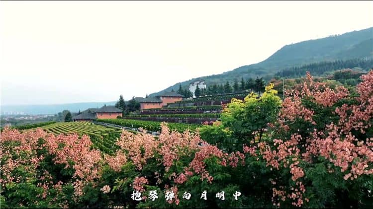 關(guān)于環(huán)保性,霸陵墓園如何做到減少對(duì)環(huán)境的影響?