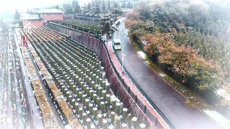 西安霸陵公墓提供哪些交通服務(wù)來(lái)方便家屬和訪客？