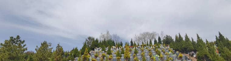 白鹿原墓園各區(qū)域墓地有哪些特點和選擇建議？