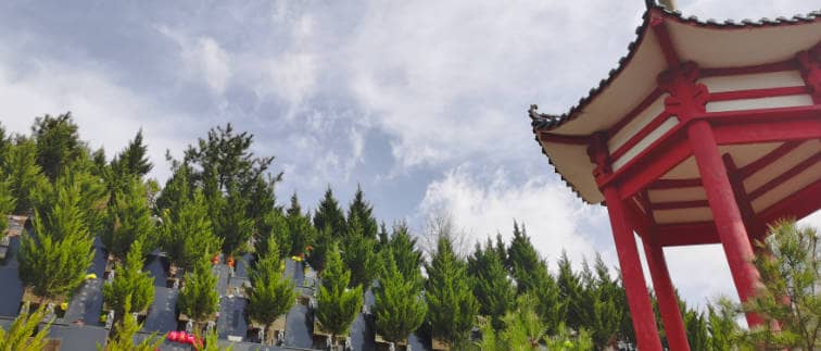 如果我沒有提前準備禮物,參加西安白鹿陵園的葬禮時應(yīng)該如何補救?