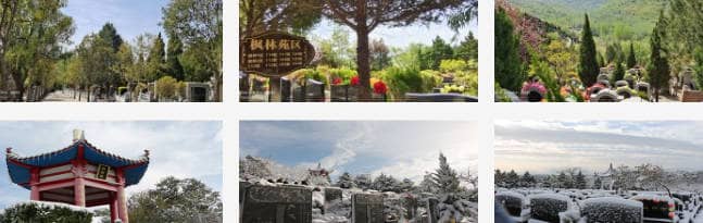 如何預約參觀白鹿原墓園并了解墓地信息？