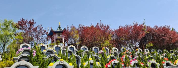 西安東郊白鹿原墓地,西安東郊白鹿原墓地的詳細介紹